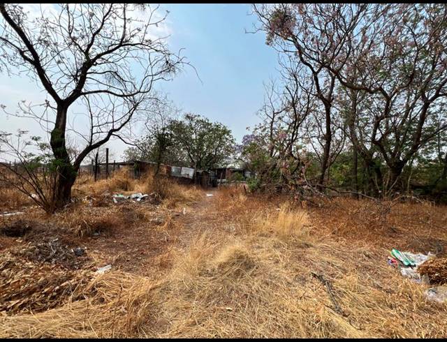 FARM FOR SALE IN BULTFONTEIN A H